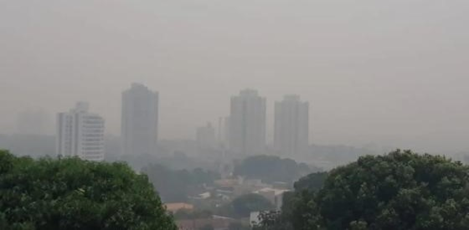 Crise Climática: conheça o GTPAUA, grupo de trabalho que debate Política Agrária, Urbana e Ambiental dentro do sindicato