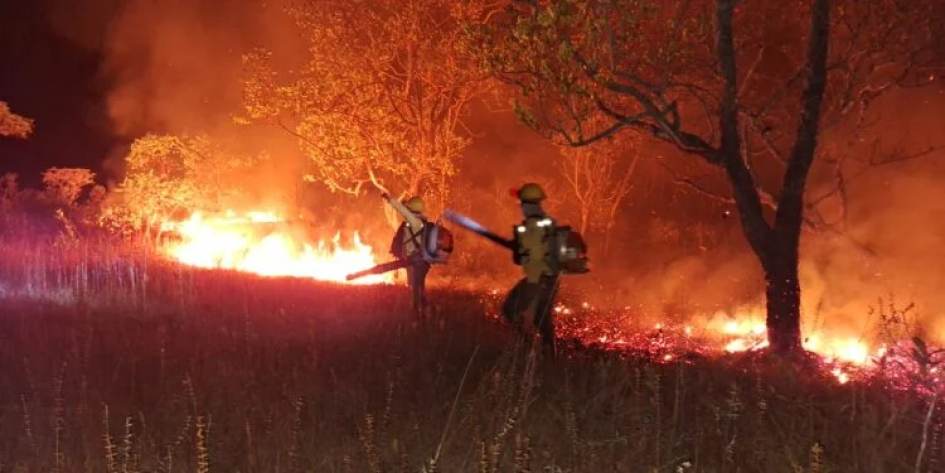 Amazônia pede socorro: seca extrema e grande número de incêndios afetam a região