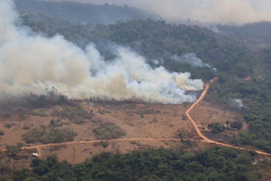 Alta de 40% nas queimadas e inércia do Estado marcam o Dia da Amazônia no Parque Estadual Cristalino II (MT); organizações reagem